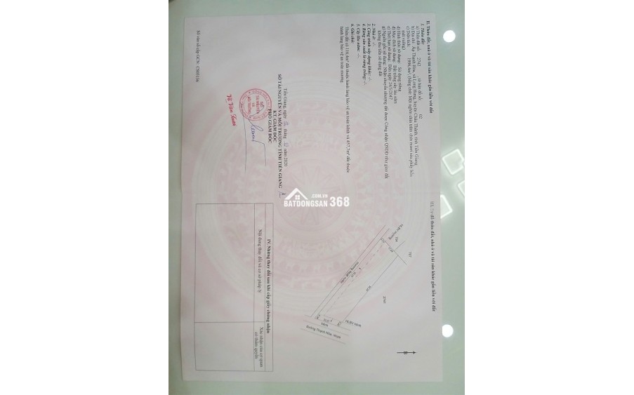 BÁN ĐẤT VƯỜN DỪA